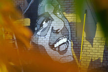 Load image into Gallery viewer, FRANK PRINT
